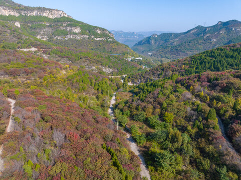 济南八里峪红叶