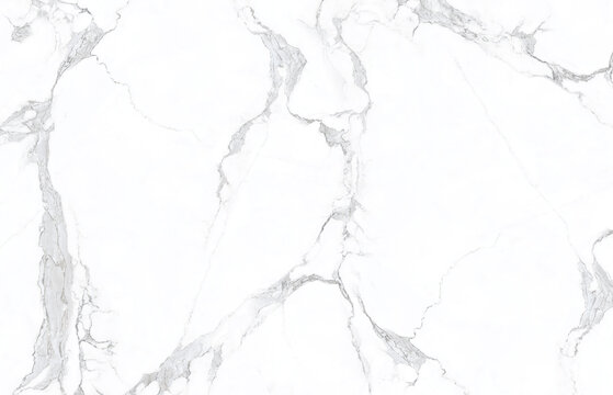 高檔魚(yú)肚白大理石背景墻