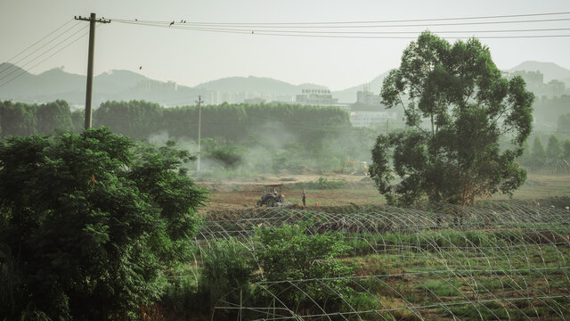 乡村的早晨