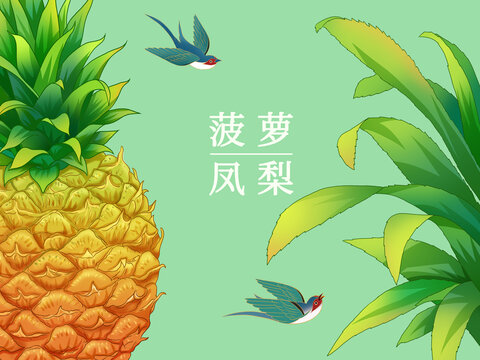 菠蘿鳳梨手繪插畫海報