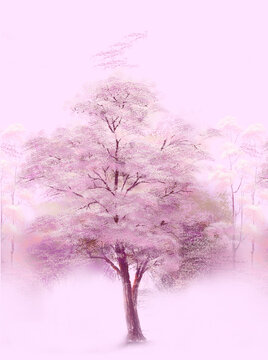 櫻花樹