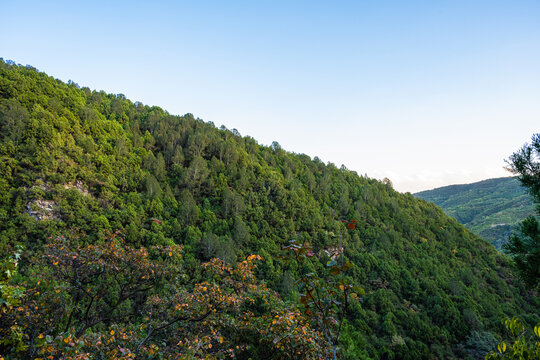 绿水青山