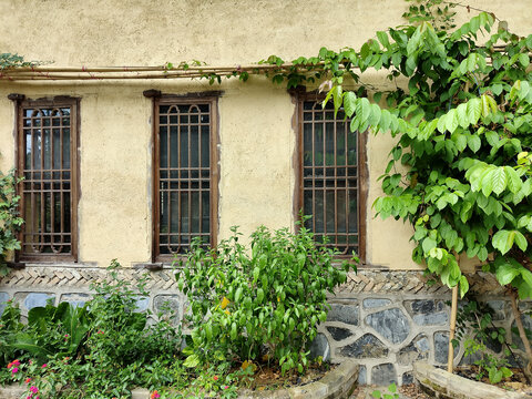 绿植中式门窗