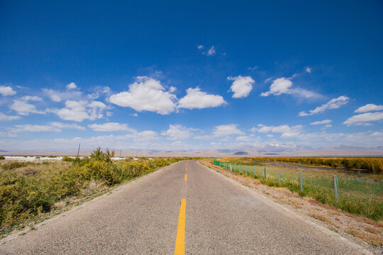 青海公路风景