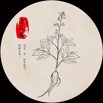 土人參線描畫