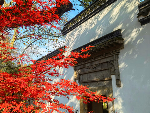 杭州园林美景郭庄秋天景色