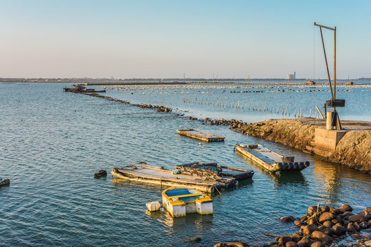 海边鱼船