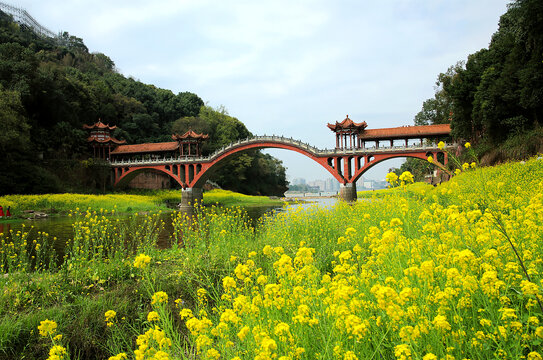 河谷油菜花田