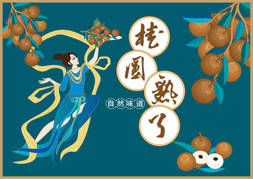 桂圓包裝