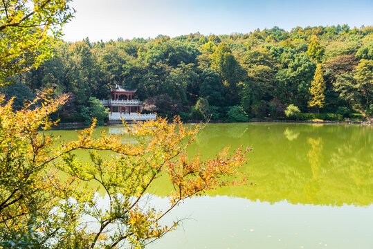 岳麓山风光