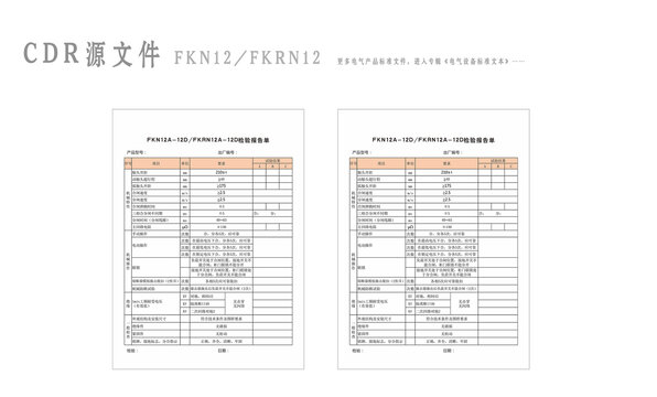 FKN12FKRN檢驗(yàn)報(bào)告