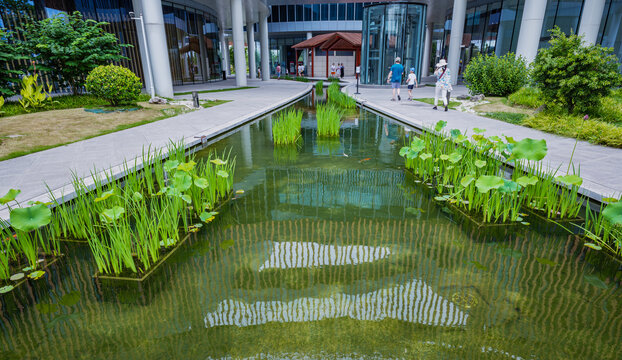 水景绿化