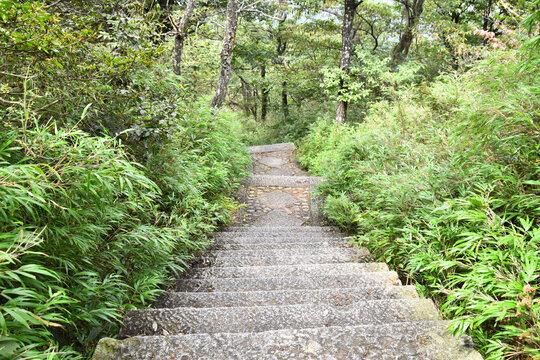 登山路