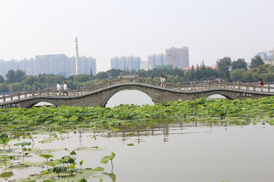 大明湖翠柳屏岛三孔堤桥