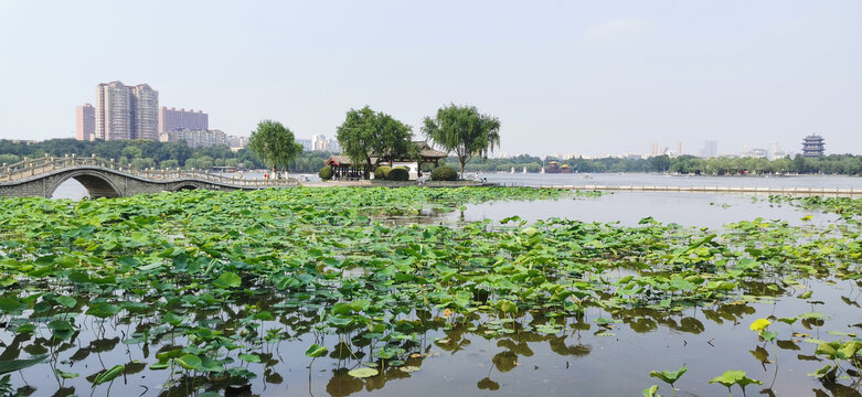 翠柳屏岛全景