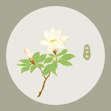 栀子花