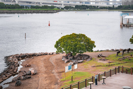 东京台场炮台遗址