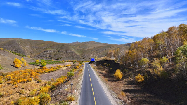 秋季的公路