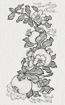 石榴銅版畫插畫