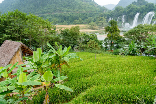 乡村旅游