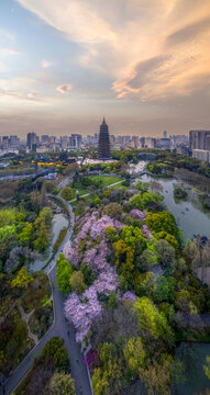 江苏省常州市天宁禅寺