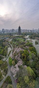 江苏省常州市天宁禅寺