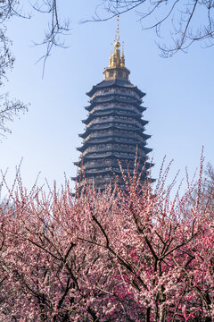 江苏省常州市天宁禅寺