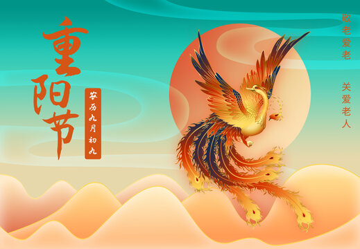 重陽(yáng)節(jié)展板鳳凰
