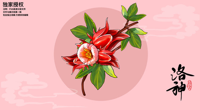 手繪洛神花插畫