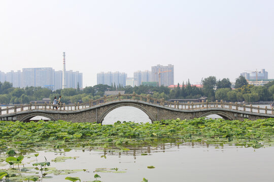 大明湖翠柳屏岛