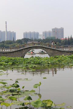 大明湖翠柳屏岛