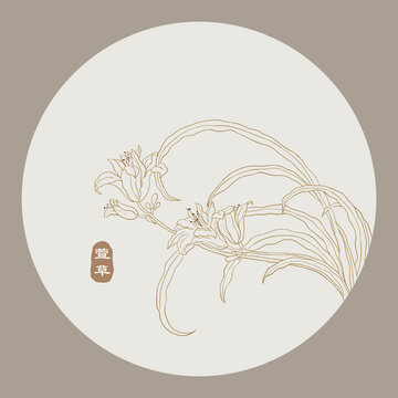 萱草線(xiàn)稿