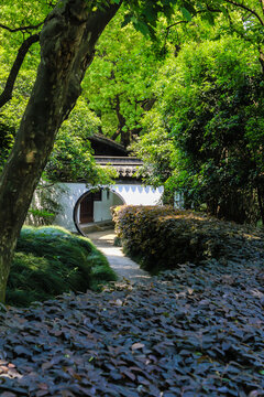 上海松江醉白池风光