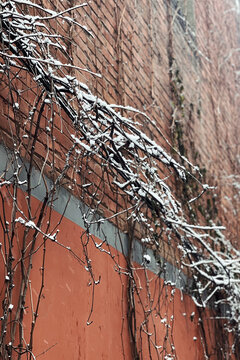 冬天雪景配图