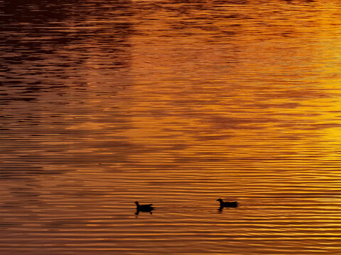 夕阳湖面