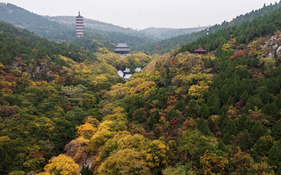 青檀寺秋色