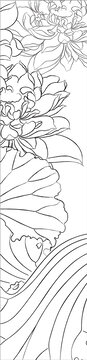 荷花插畫線稿