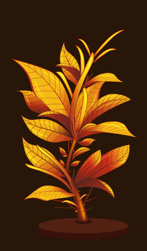 金茶葉子插畫