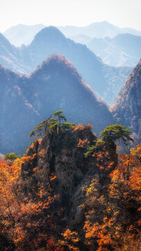 大连天门山赏秋