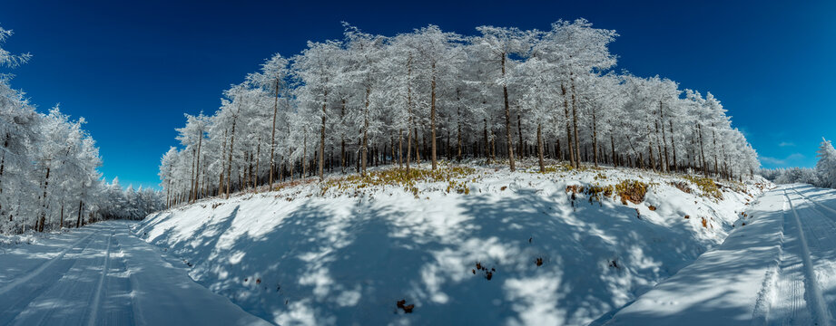 雪地风光