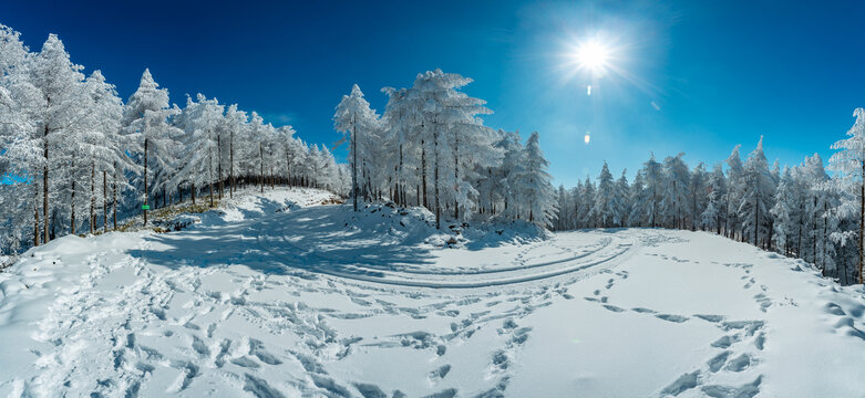 雪地风光