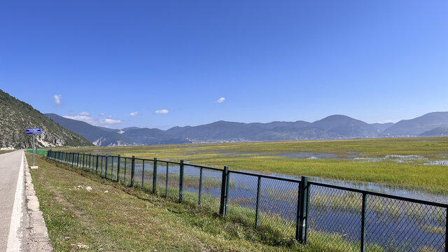 路边的草原湿地