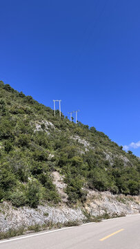 路边的植被山体