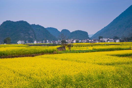 山村春景