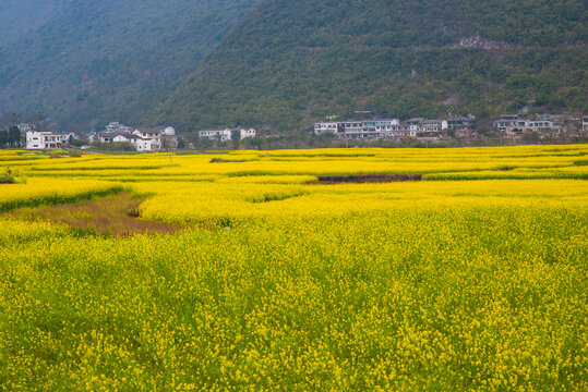 山村春景