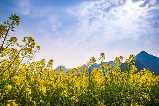 山村春景