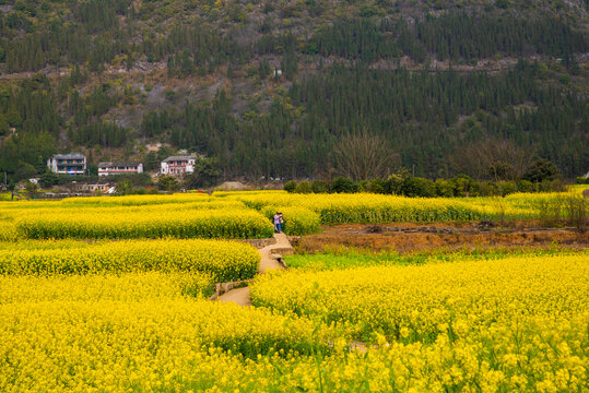 山村春景