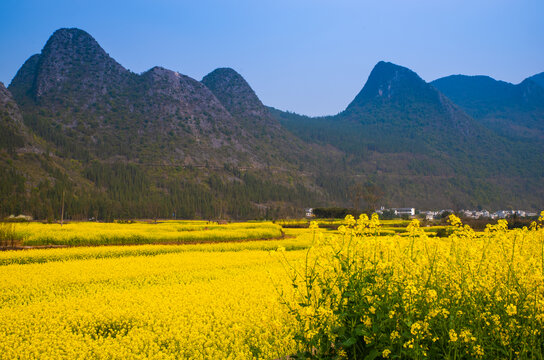 山村春景