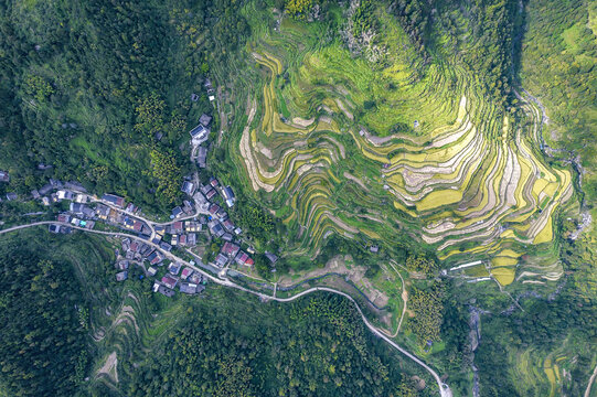 温州永嘉楠溪江茗岙梯田村庄