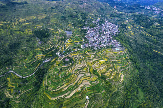 温州永嘉楠溪江茗岙梯田村庄